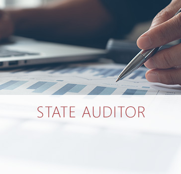 State Auditor