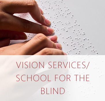 Vision Services