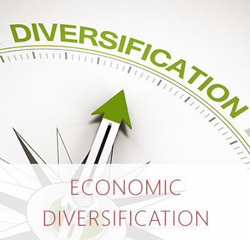 Economic Diversification